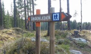 Vandra på Ängenleden i Gräsmark